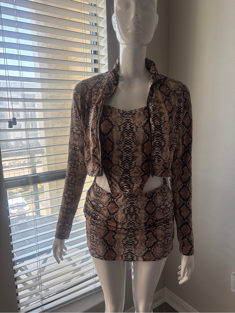 Snake-Print Brown Women's Jacket & Dress Set